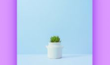 这里有精品视频,尽享视听盛宴